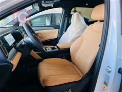 بي واي دي سونغ L DM-i